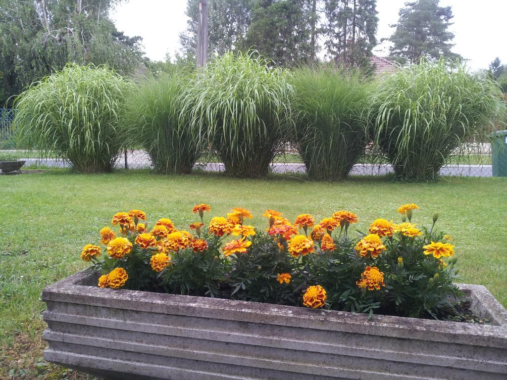 Hajas Familia Kiado Szobak Balatonmariafurdo Bagian luar foto